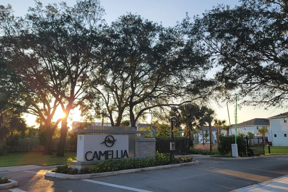 Camellia