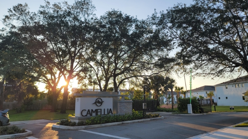 Camellia Townhomes